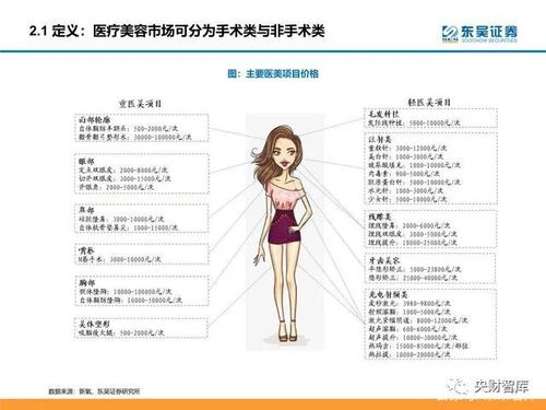 顏值經(jīng)濟(jì)產(chǎn)業(yè)研究 醫(yī)美和化妝品市場(chǎng)分析